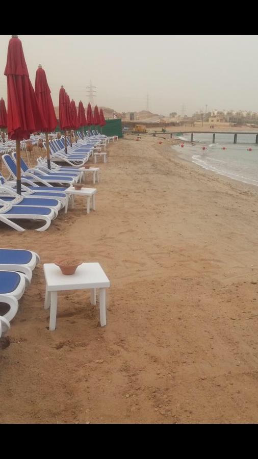 Chalet Porto South Beach - Beach Front Sea View 아인 수크나 외부 사진